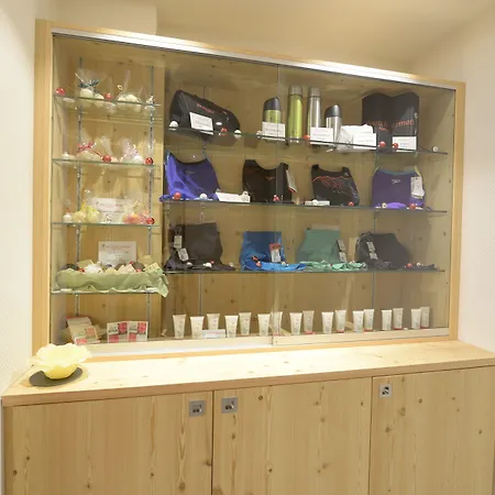 采尔马特弗勒尔高山酒店 4* 采尔马特