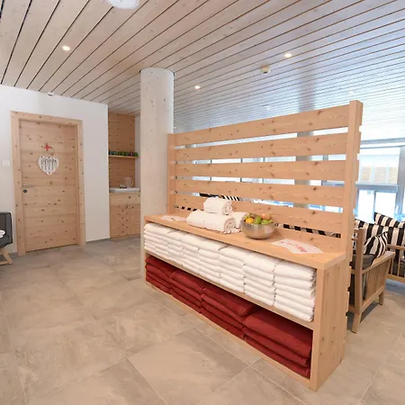 采尔马特弗勒尔高山酒店 酒店 采尔马特