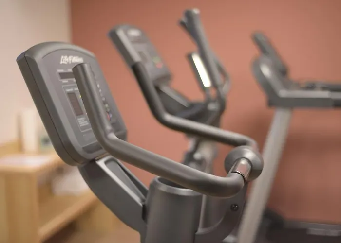 Otel Alpenhotel Fleurs De 4*