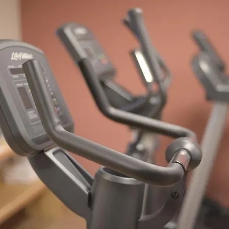 מלון Alpenhotel Fleurs De 4*