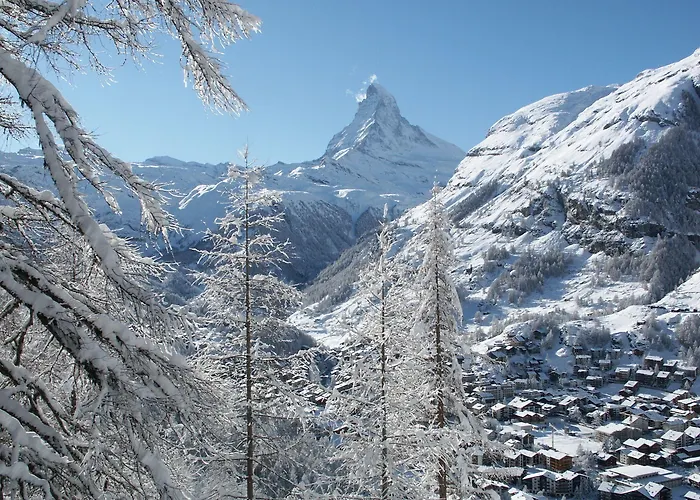 Alpenhotel Fleurs De Церматт