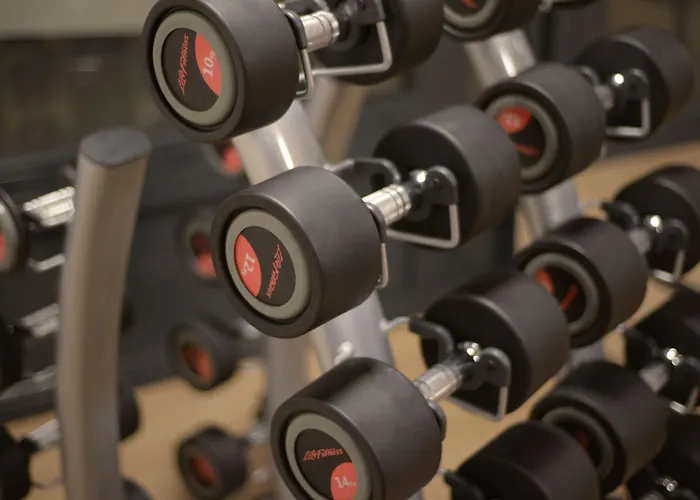 Отель Alpenhotel Fleurs De Церматт