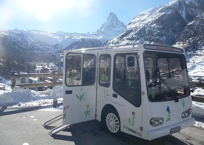 Отель Alpenhotel Fleurs De 4*